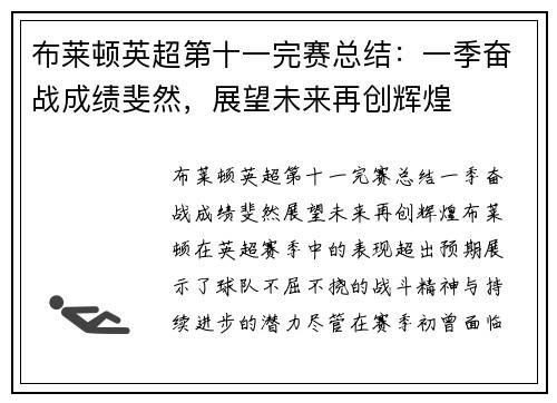 布莱顿英超第十一完赛总结：一季奋战成绩斐然，展望未来再创辉煌